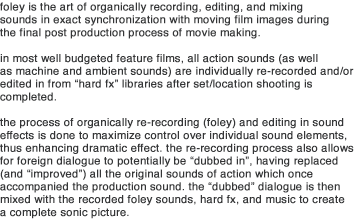 what is foley info