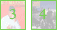 platinum 3-4